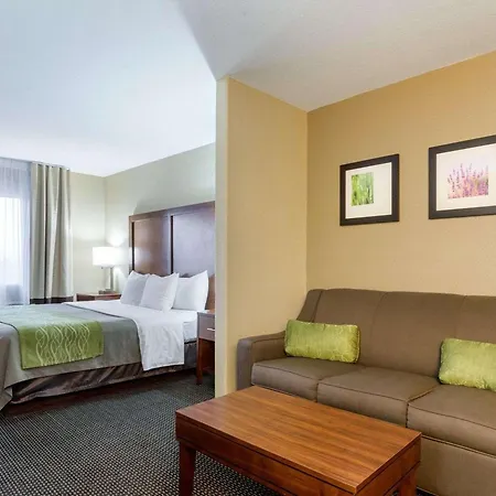 Comfort Inn Garden City-2