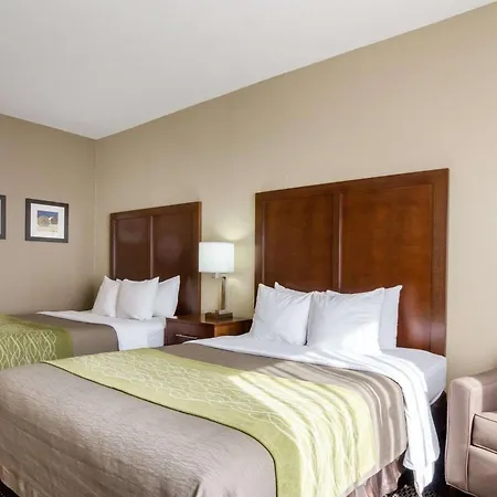 Comfort Inn Garden City-3